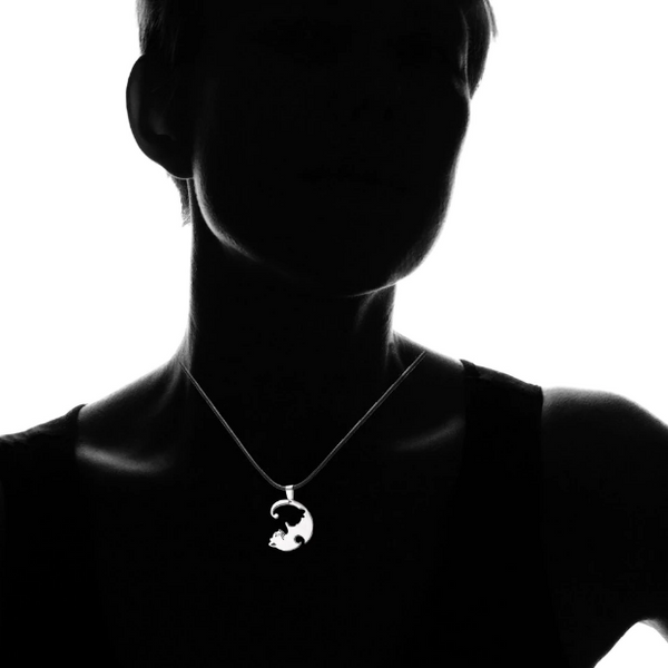 model demonstration 1