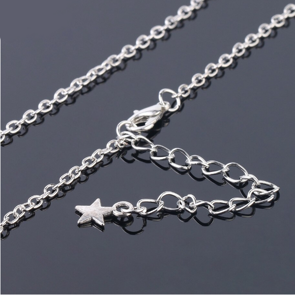 the clasp, with a lovely star at the tail